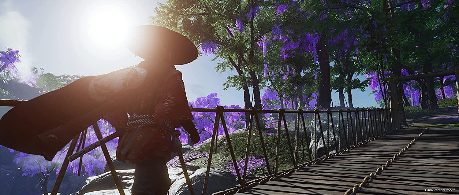 Ghost of Tsushima Director's Cut - PS5